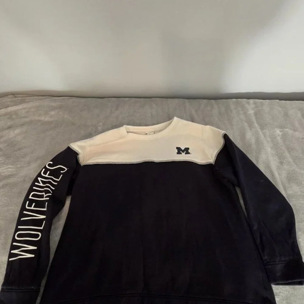 Champion University of Michigan‎ Wolverines Sweatshirt Men L Colorblock Vntg 312